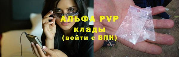 стаф Пестово