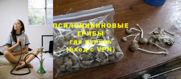 jwh Белокуриха